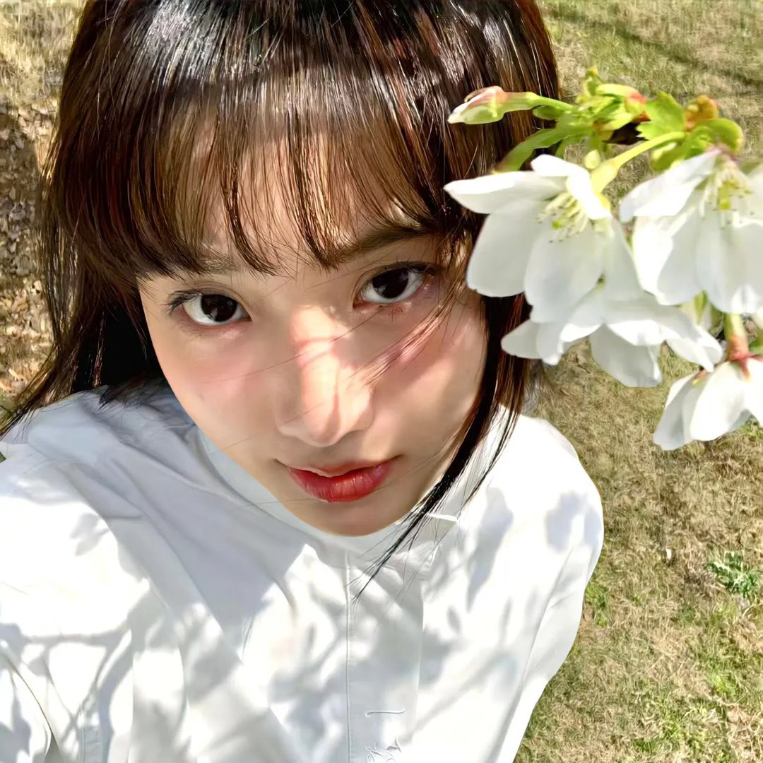塞内卡：地震的创世纪